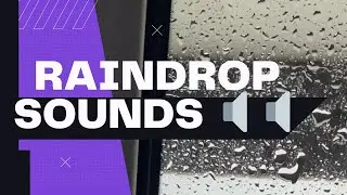 Relaxing Raindrops on car Roof Noises 40 Min (Asmr) Chill out sounds