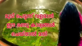എത്ര വലിയ മുടികൊഴിച്ചിലും അകാല നരയും മാറ്റാം Home Remedies to Control Hair Fall Black Hair Excercise
