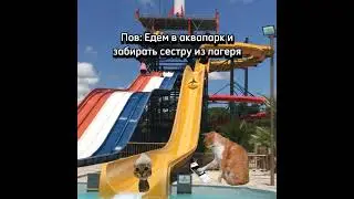 Как у вас делишки?😺🌷У меня завтра Линейка, и всё!💞