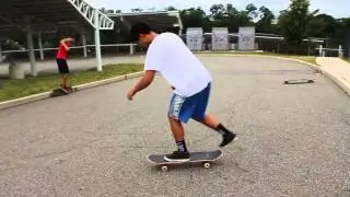 Skatbirding