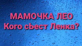 Мамочка Лео/Обзор влога.