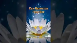 Как в Помощь Является Гуру Бог - Рамана Махарши 💛 