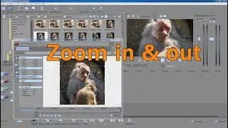 Sony Movie Studio in Bilder Videos rein raus zoomen - zooming in & out images videos