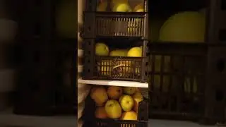 Урожай 2024, лето продолжается!