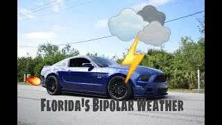 Transmission Fluid Change During a Thunderstorm