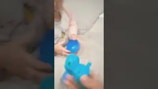 29 июля 2024 г.