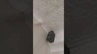Нашёл скрытую камеру в спальне!