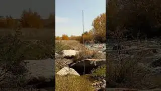На берегу "Бүйен"