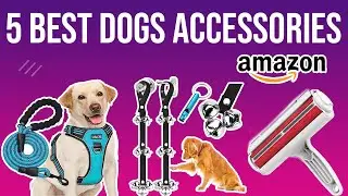 Best Dogs Accessories || 5 Best Dog Accessories On Amazon 2022