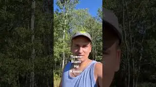 В Канаду тепер можна полетіти за копійки…
