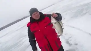 Рыбалка судака на живца зимой на льду.