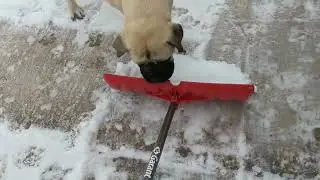 Helping!
