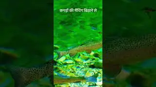 सब कुछ सहन करना सीखो||Best motivational speech hindi video||Inspirational Quotes