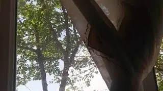 Олами Хунар Эфир