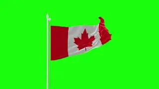 Canada green screen flag video