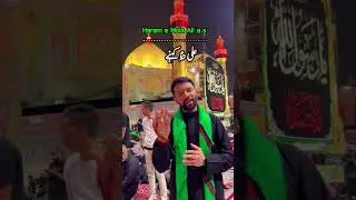 Daswain Darjay pay hay salman Ali Kehnay say || Ali Safdar || Haram e Mola Ali a.s Arbaeen 2024