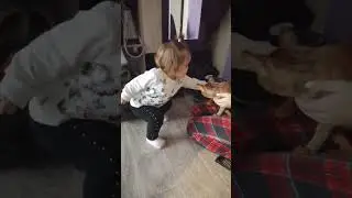 ВПЕРВЫЕ УВИДЕЛА НЕОБЫЧНУЮ КОШКУ И ИСПУГАЛАСЬ😱🐆 #emily_family #рекомендации #shorts #кошки