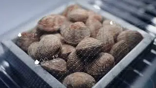 Découvrez les frigos Miele K7000 avec le chef Kyle Connaughton