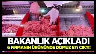 Tecrübeli uzmanından domuz eti meselesine farklı ve mantıklı yaklaşım.