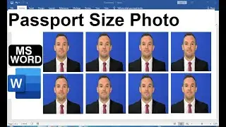 how to make passport size photo in Microsoft office
