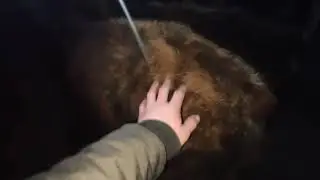 31 января 2021 г.