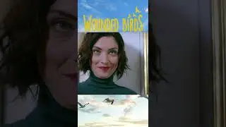 سرنخ #shorts #yaralikuslar #woundedbirds