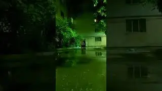 Айлин