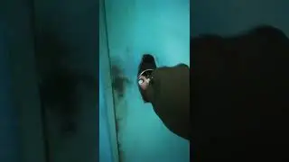Рязанский замок на общую дверь