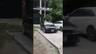 КОСМОПАРКТА 2 МЕТРЛИК ЖЫЛАН ЧЫКТЫ