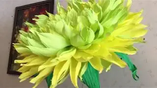 Full-length flower. Dahlia.