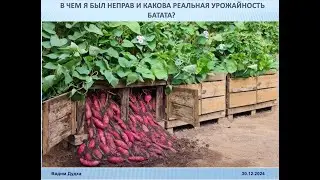 Батат ответы на вопросы