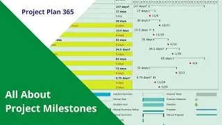All about Project Milestones