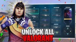 UNLOCK ALL Valorant Skins 2026 (UNLOCK ALL)