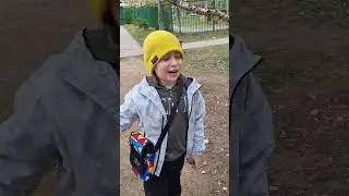 залезаем на дерево