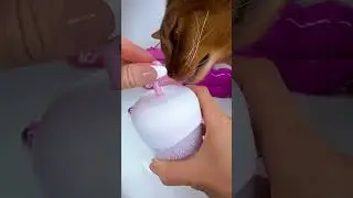 Make your own foam cleanser with this foam cleanser machine #abyssiniancats #foamcleanser