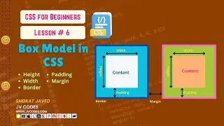 Box Model in CSS | CSS for Beginners | Lesson 6