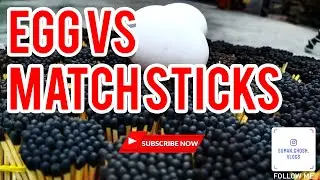 Quarantine idea egg vs match sticks: egg fried on matchsticks