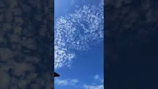 Гоняем голубей ижи, пермь. 03.09.23.