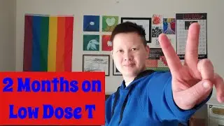 2 Months on Low Dose T (with Detailed Voice Updates)