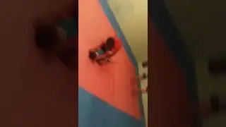 Мой учиник