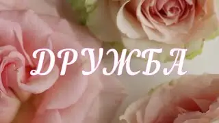 София Берг - Дружба|кавер|Настенька Блестяшка