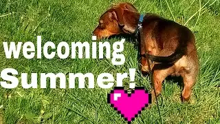 Welcoming summer!