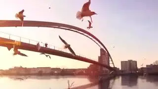 Мечтай! Ставь цели! Мотивирующее видео