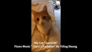 My Cat