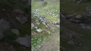 Табиати Точикистон