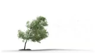 Trees 04 - 4K Green Screen Storm Tree Footage -4k Free Footage