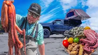 I Spent 72 Hours Living Off The Beach