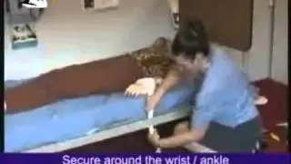 Wrist / Ankle Restraint - Wool - Used for confused patient needing to be quickly restrained