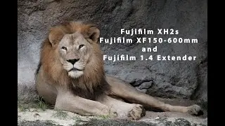 Fujifilm XF 150-600mm Lens and 1.4 extender