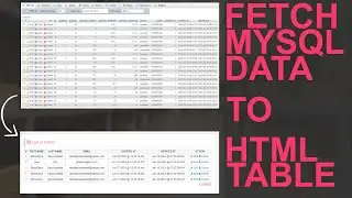 PHP PROJECT: How To Fetch Data from MySQL Database and Display in HTML Table using PHP PDO 